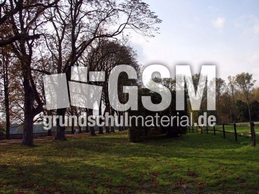 B-Herbststimmung 020.jpg